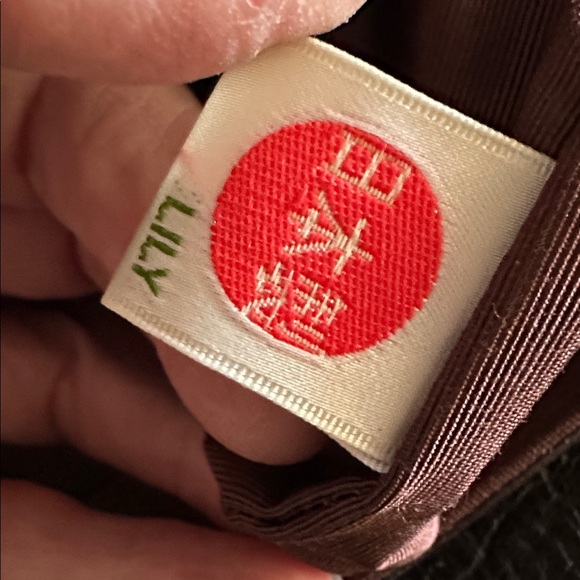 Lily Chocolate Brown Satchel Purse NWOT • A Classy Quiet Luxury Bag - Picture 3 of 12